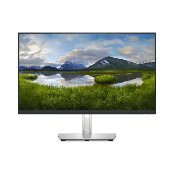 DELL P2423DE QHD USB-C Professional IPS