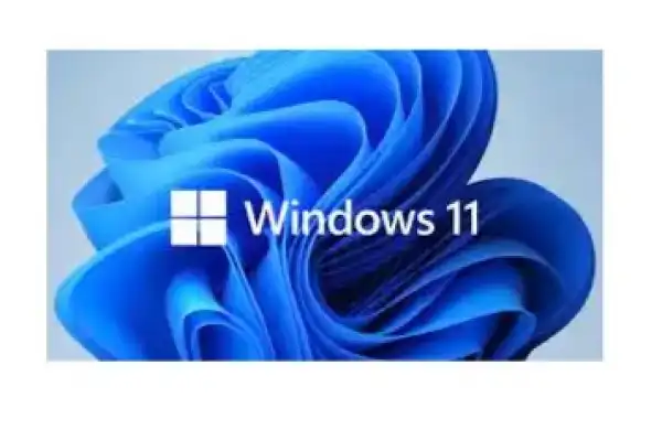 Microsoft WINDOWS 11 PRO 64BIT ENG INSTLOEM dsp dvd (fQC-10529)