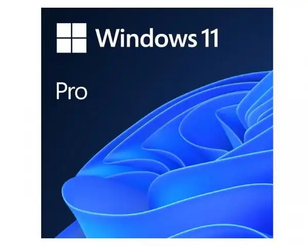 MICROSOFT Win 11 Pro GGK 64Bit Eng Intl 1pk DSP ORT OEI DVD ( 4YR-00316 )