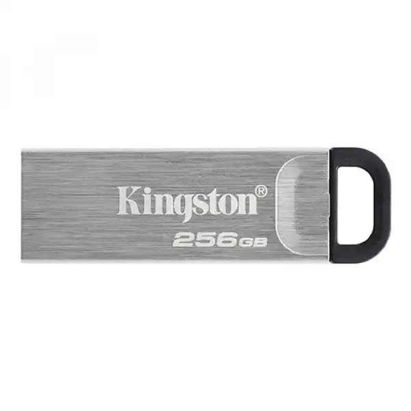 KINGSTON USB Flash memorija 256GB DTKN/256GB
