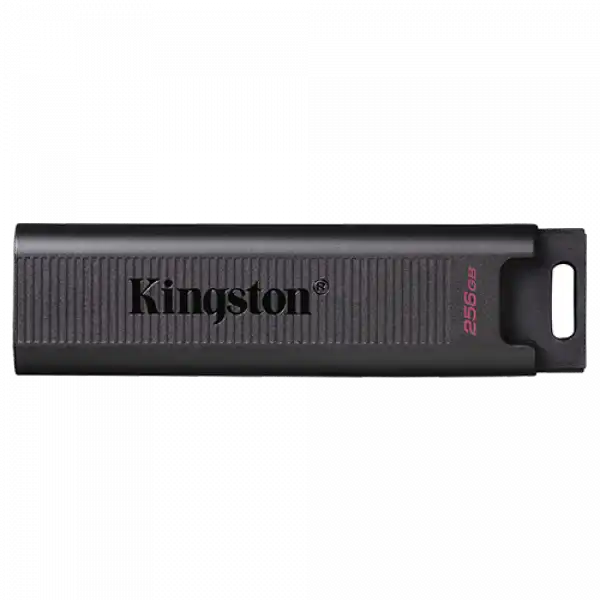 KINGSTON USB Flash memorija DataTraveler Max 256GB