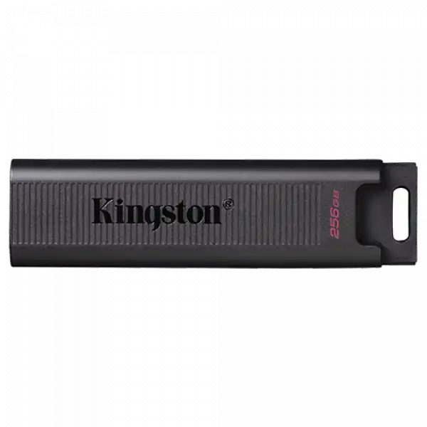 KINGSTON USB Flash memorija DataTraveler Max  256GB