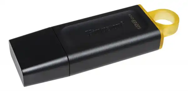 KINGSTON USB Flash memorija 128GB DTX/128GB
