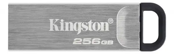 KINGSTON USB Flash memorija DTKN/256GB