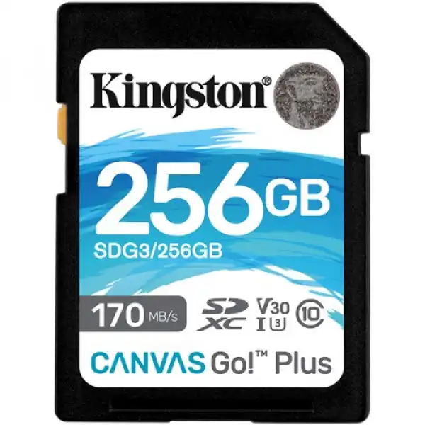 Kingston 256GB SDXC Canvas Go Plus memorijska kartica  SDG3/256GB