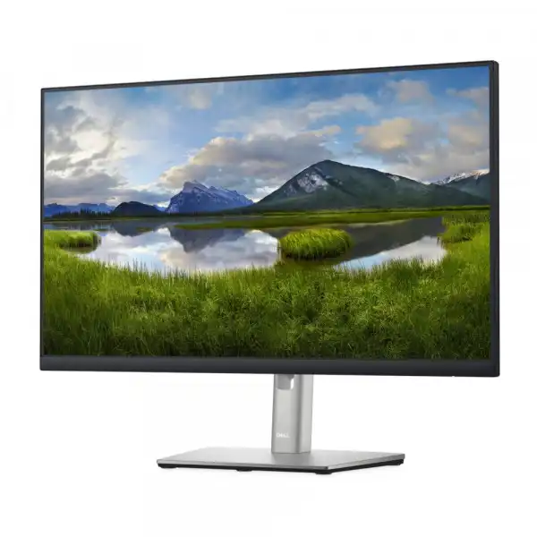 DELL 24'' IPS P2422H Monitor