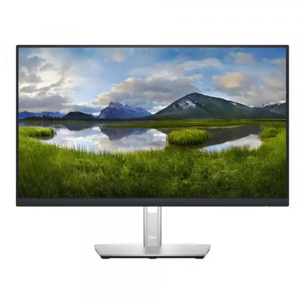 DELL 24'' IPS P2422H Monitor