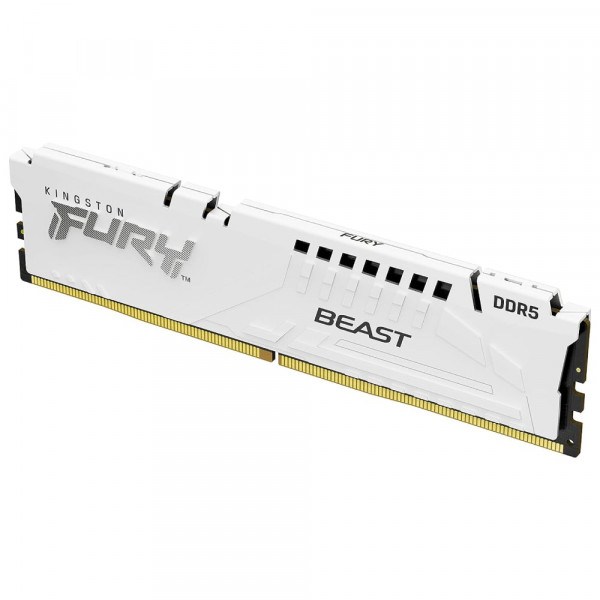 KINGSTON Fury Beast 16GB DDR5 5600MHz CL36 KF556C36BWE-16 Memorija