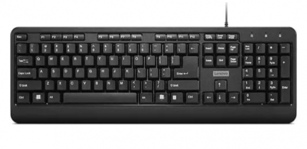 LENOVO Tastatura  160 žična/GY41L68463/US/crna