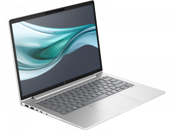 HP ProBook 460 G11 (Pike silver) WUXGA IPS, U5-125U, 8GB, 512GB SSD (A23BGEA)