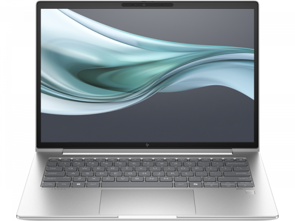 HP ProBook 460 G11 (Pike silver) WUXGA IPS, U5-125U, 8GB, 512GB SSD (A23BGEA)