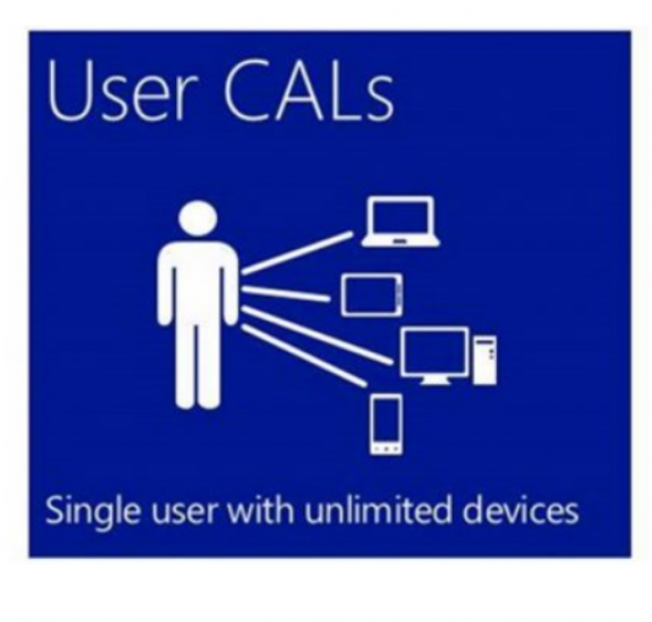 Microsoft Windows Server CAL 2022 English 1pk DSP OEI 5 Clt User CAL ( R18-06466 )