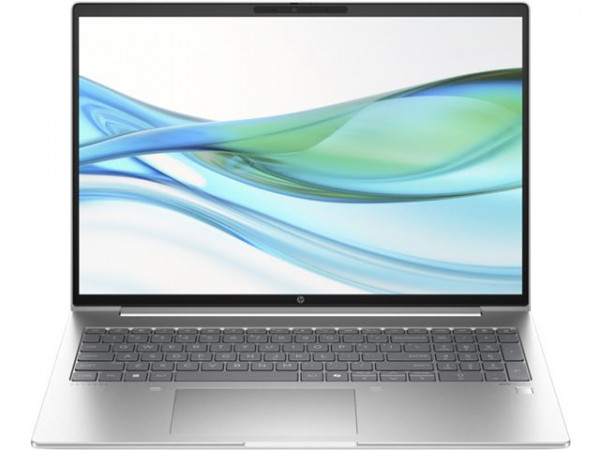 HP ProBook 460 G11 (Pike silver) WUXGA IPS, U5-125U, 8GB, 512GB SSD (A23BGEA)