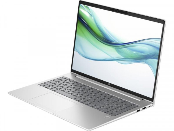 HP ProBook 460 G11 (Pike silver) WUXGA IPS, U5-125U, 8GB, 512GB SSD (A23BGEA)