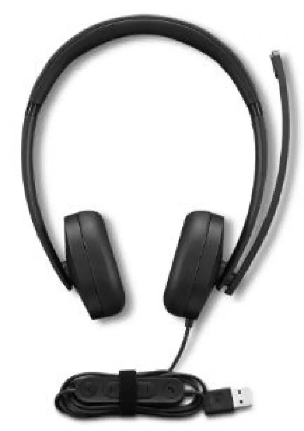 Lenovo sliušalice žičane/Stereo/USB, 4XD1P83425