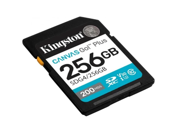 KINGSTON 256GB Canvas Go! Plus (SDG4/256GB)