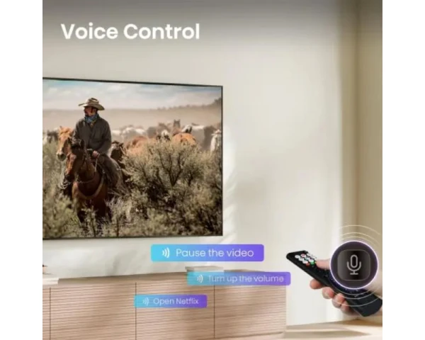 HISENSE 58 inča 58A6S 4K UHD LED Smart TV