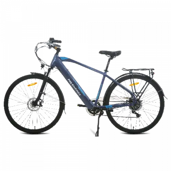 MS ENERGY eBike C11 L