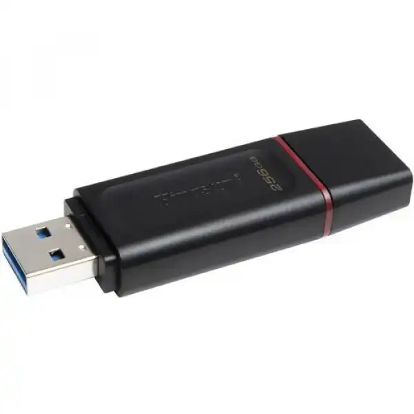 KINGSTON USB Flash memorija 256GB DTX/256GB