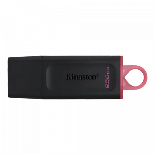 KINGSTON USB Flash memorija 256GB DTX/256GB
