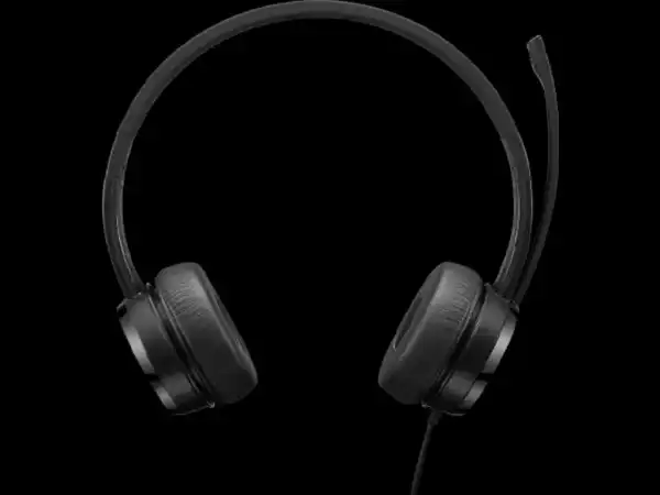 Slušalice LENOVO  Stereo/USB/4XD1K18260/Kontrole na kablu/crna